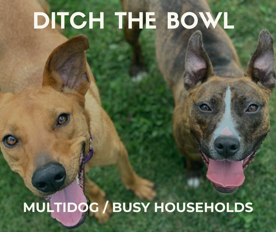 tan dog and brindle dog. Titled "Ditch the Bowl - Multidog / busy households"