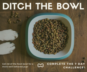 Pair of white dog paws by a food bowl, titled "Ditch the Bowl"